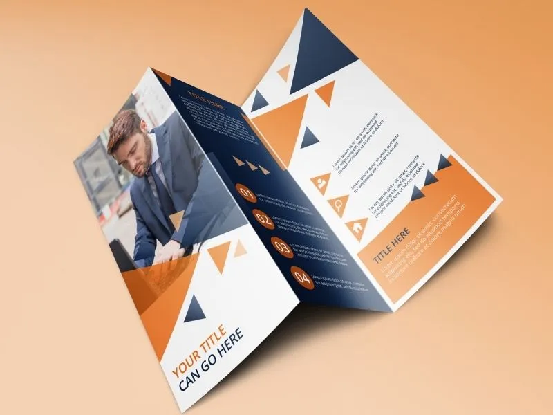 Best Graphic Designer In Delhi, India 2 brochure designing service