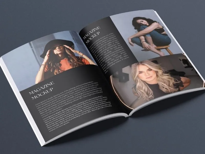 Best Graphic Designer In Delhi, India 12 magazine designing service